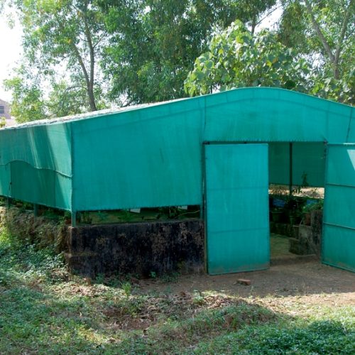 1422433201418633_Green_House